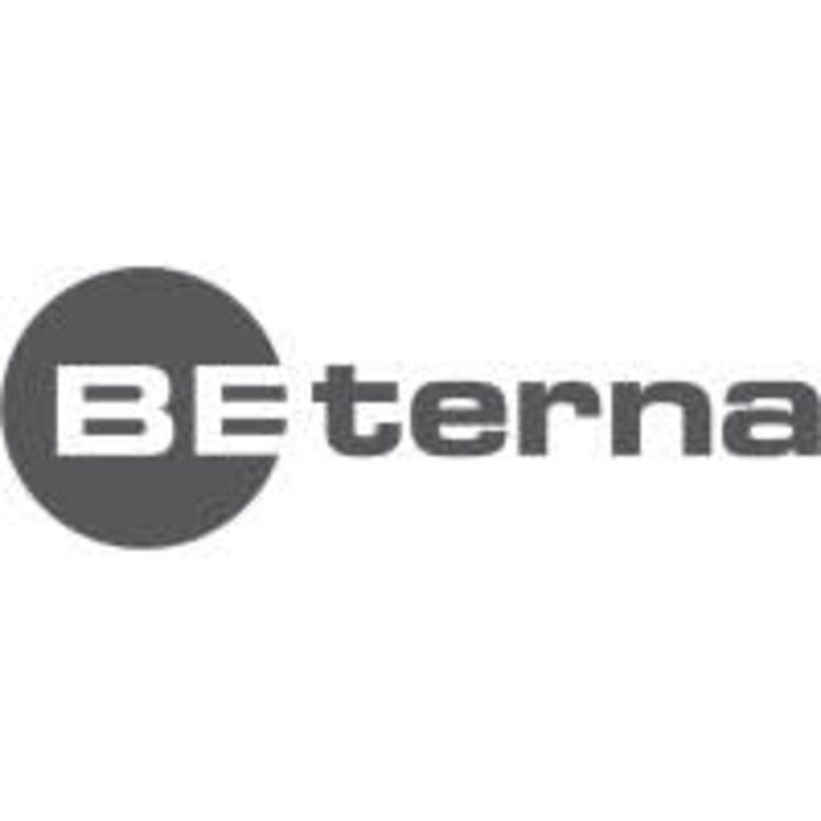 BE-Terna-Logo-web.jpg